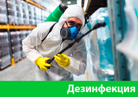 Дезинфекция в городе Кемерово