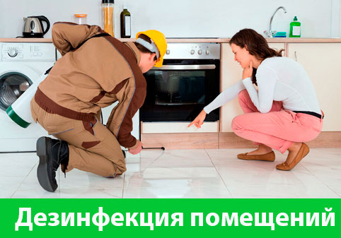 Дезинфекция офисов от коронавируса в городе Кемерово