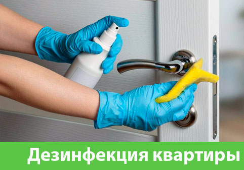 Дезинфекция квартиры в городе Кемерово