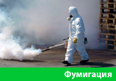 Фумигация в городе Кемерово