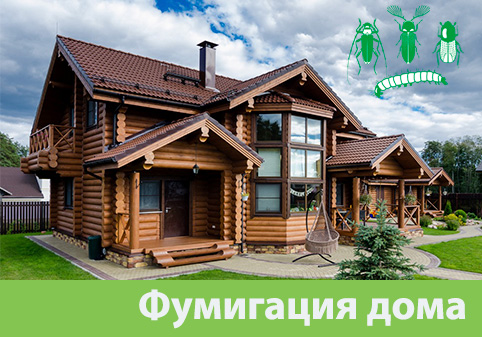 Преимущества обработки газом в городе Кемерово