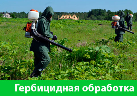 Гербицидная обработка в городе Кемерово