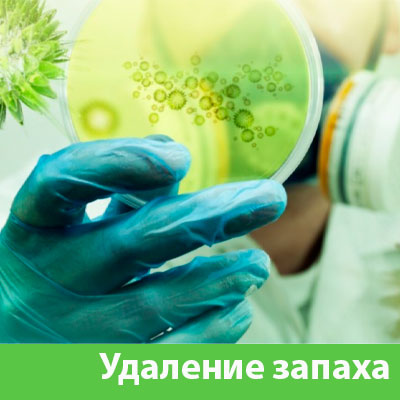 Удаление запахов в Кемерово