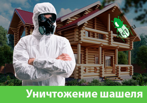 Уничтожение шашеля и личинок в Кемерово