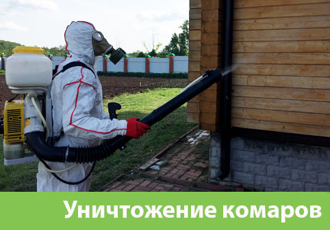 Уничтожение комаров в городе Кемерово