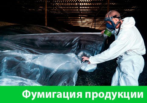 Фумигация продукции в городе Кемерово